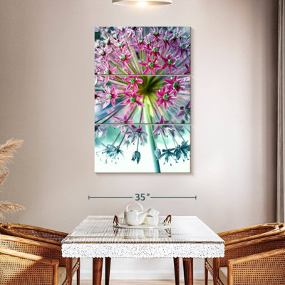 Allium Pink Turquoise