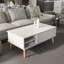 Como 46cm H x 110cm W Coffee Table-100342282