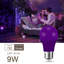 9 W (équivalent à 60 W), ampoule DEL A19 à intensité variable, culot mauve E26 / moyenne (standard)