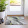 Machine Washable Indoor/Outdoor Cinead ACN1668 Aloe Rug