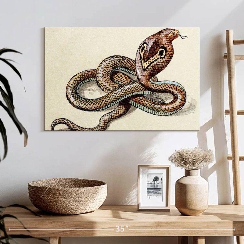 Brampt Indian Cobra, 16" H x 24" W