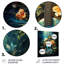 Guitare tropicale, musique euphonique - décoration murale en métal-931018483