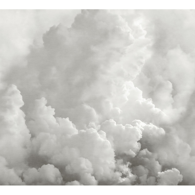 Murale Dans les nuages gris tourterelle, gris