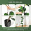Figuier artificiel figuier artificiel 7 pi-110257927