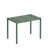 Eucalyptus Green