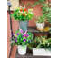 Fleurs artificielles multi-espèces réalistes pour l'extérieur et l'intérieur, 9 tiges-1827531613