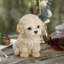 Labradoodle Decorative Puppy Figurine for Home & Garden Décor, Handpainted Polyresin Dog Statue, Realistic Design | Gift for Dog Lovers | Weather-Resistant Indoor/Outdoor Decor