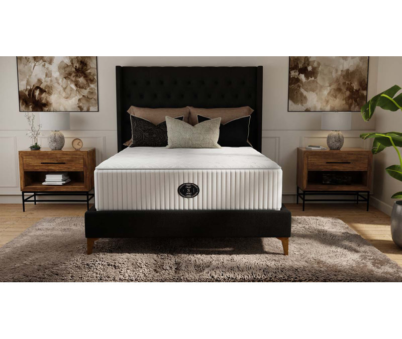 Timeless Mountain Air Cushion Firm Innerspring Mattress, Twin XL