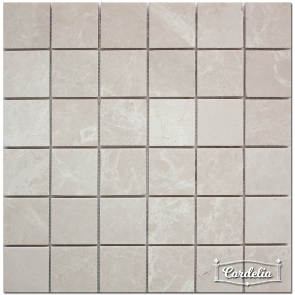 2x2 BOTTICINO MARBLE MOSAIC POLISHED