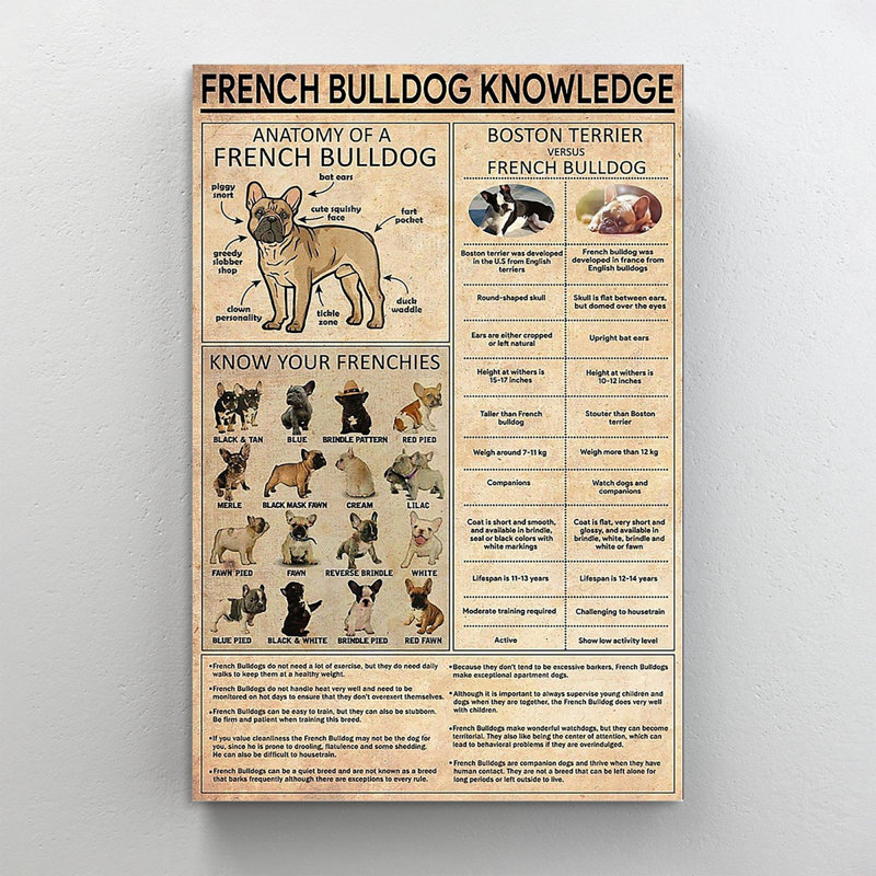 «French Bulldog», impression sur toile tendue, H 14 po x l 11 po x P 1,25 po