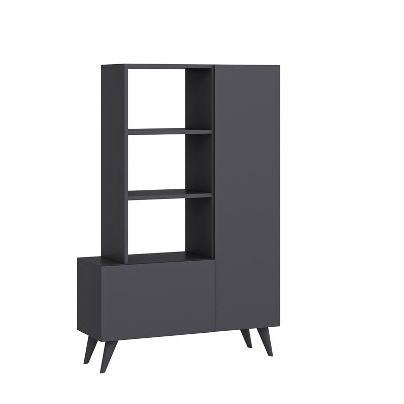 Baneen 8 Pair Shoe Storage Cabinet, Anthracite
