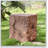 Amira Outdoor And Indoor Stump Shape MGO Side Table, Weather-Resistant And Eco-Friendly Decorative Accent
