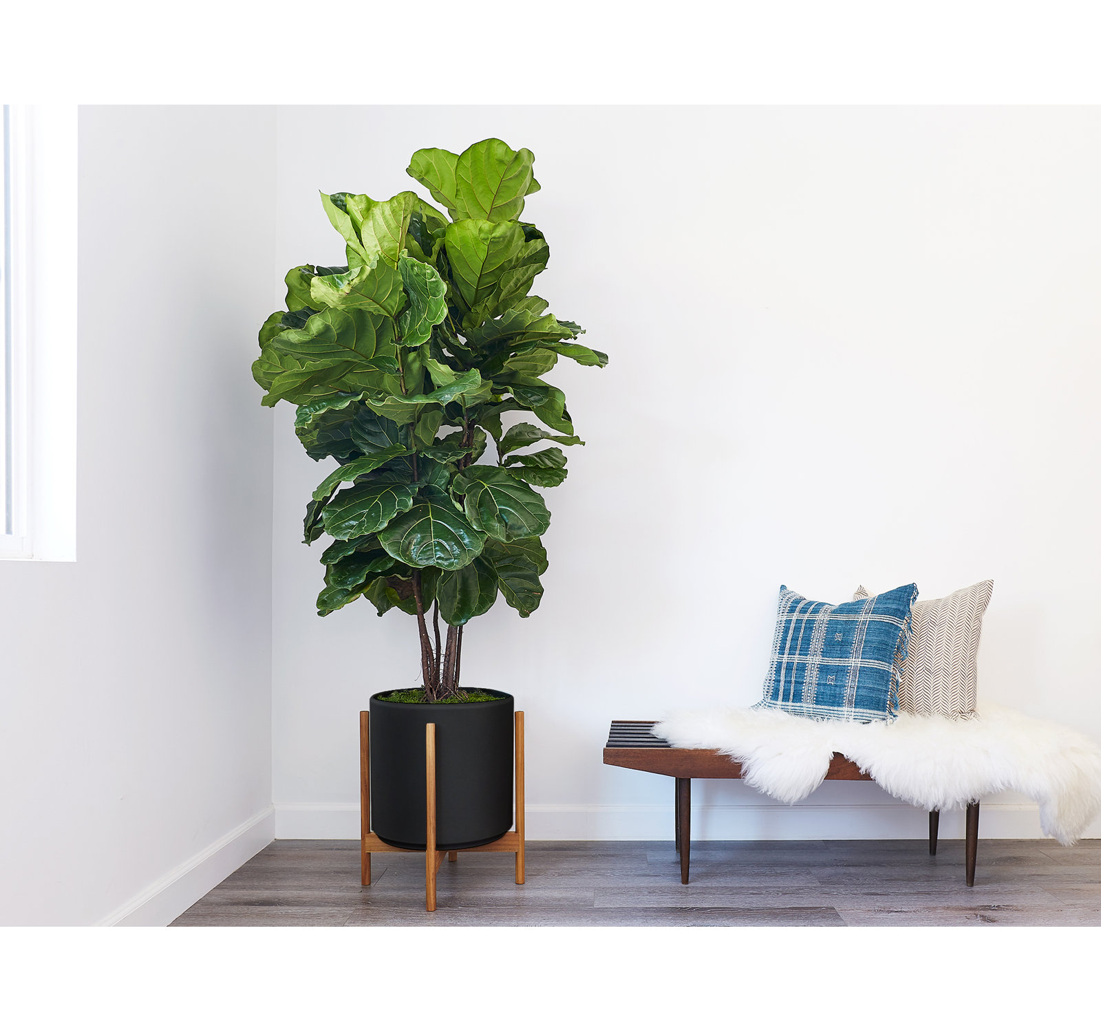 Riverside Handmade Ceramic Pot Planter, Black/Teak, 20.25" H x 17.5" W x 17.5" D