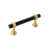 Matte Black/Brushed Golden Brass