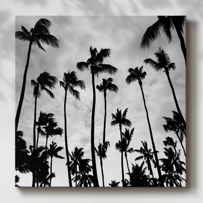 Palm skies sur toile