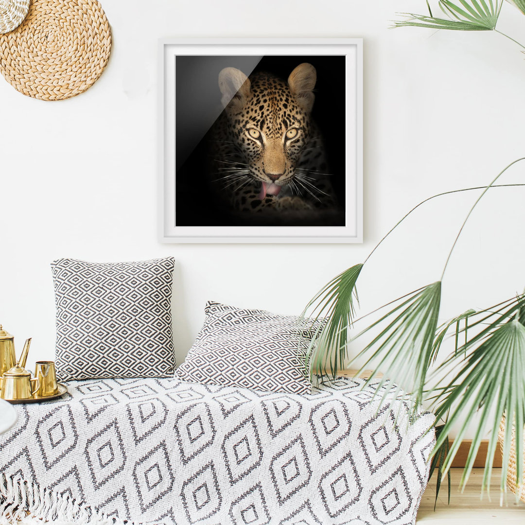 Gerahmtes Papierbild Ruhender Leopard