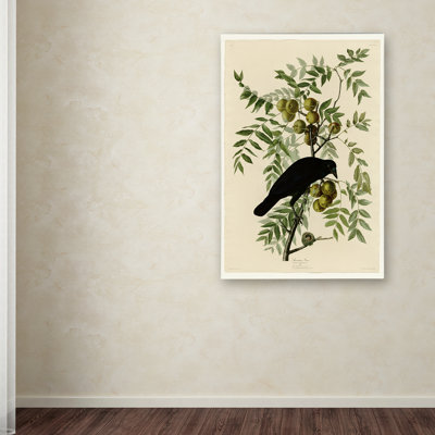 Modern & Contemporary Painting Print