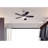 Cassidy 36'' Ceiling Fan-50133215