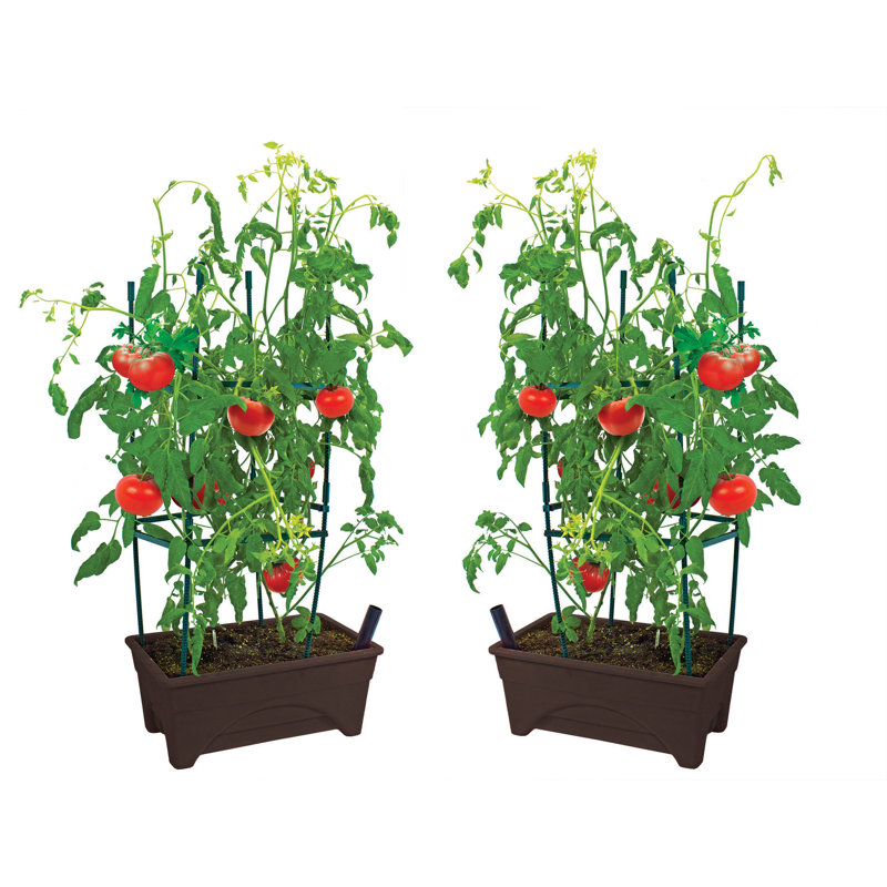 Chokio Planter Box