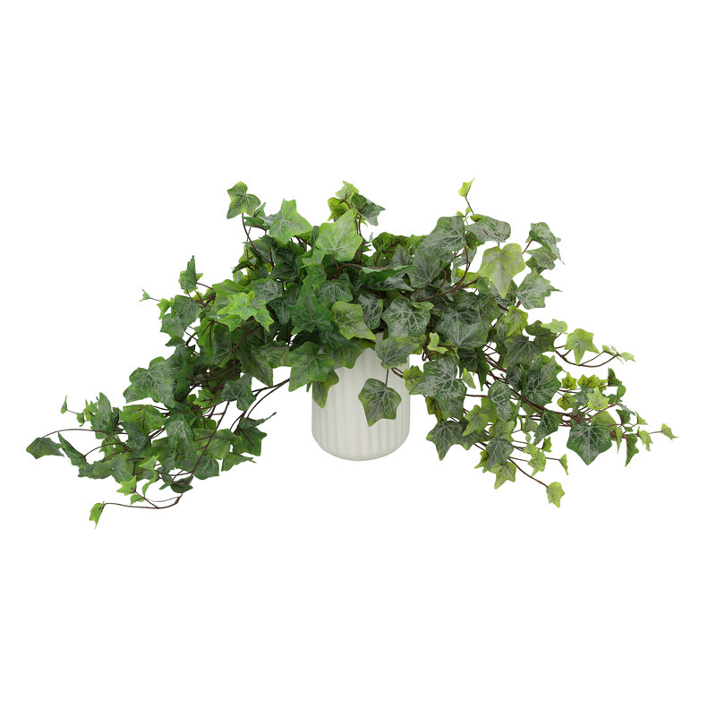 Trailing Ivy in Ribbed Ceramic Vase