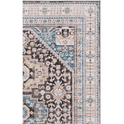 McConnico Performance Oriental Rug