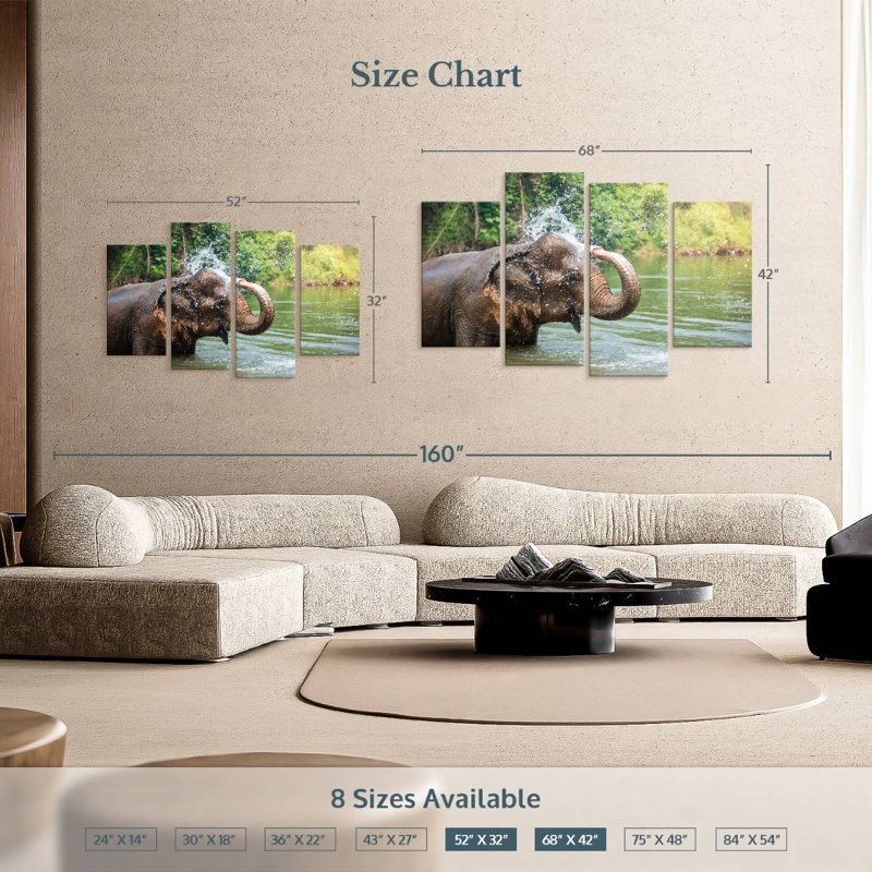 Elephant Throws Water