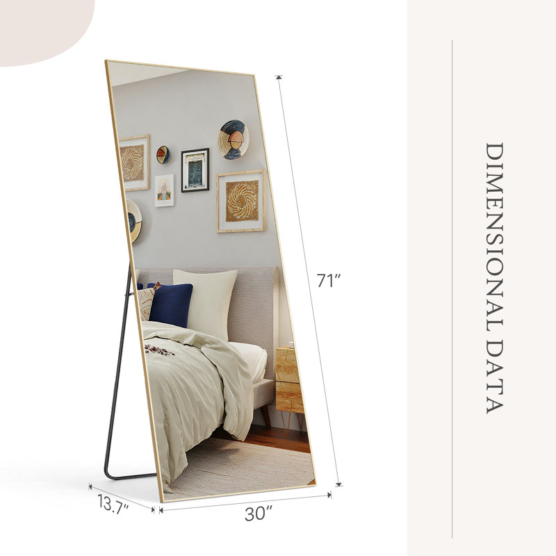 Mirta Rectangle Metal Full Length Mirror, Gold, 68" x 26"
