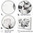 " Minimalism Black And White Geraniums "-1323015606-1130613090