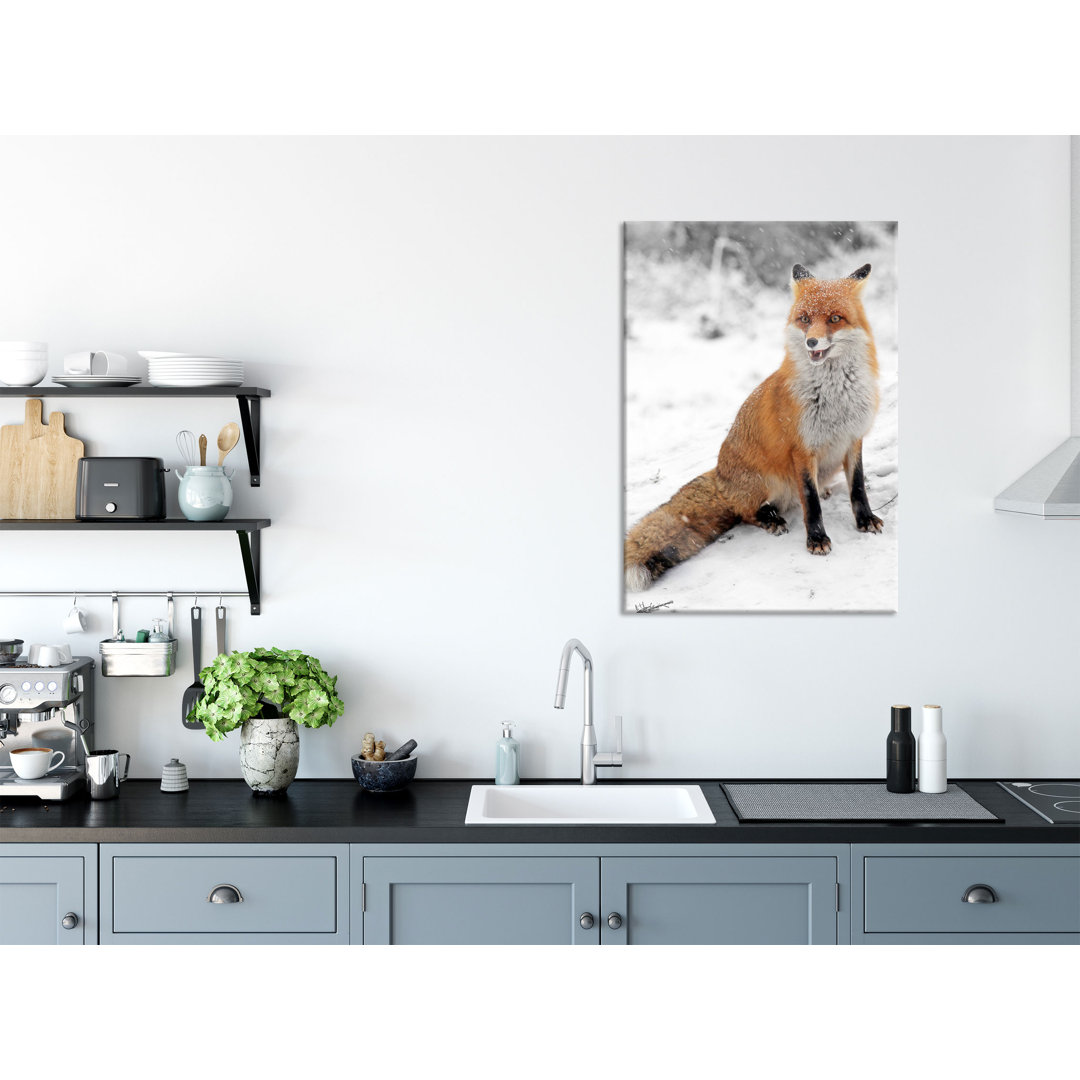 Glasbild Angespannter Fuchs im Schnee