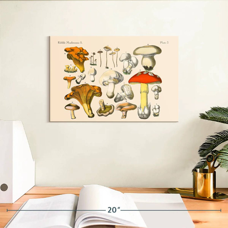 Champignons rétro Yarlin, H 8 po x l 12 po