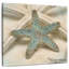 Aletra Coastal Gems III