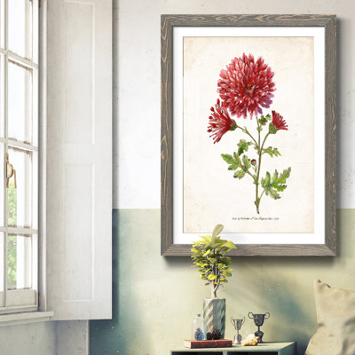 Zen Succulent III - Cadre photo, reproduction d'art sur papier