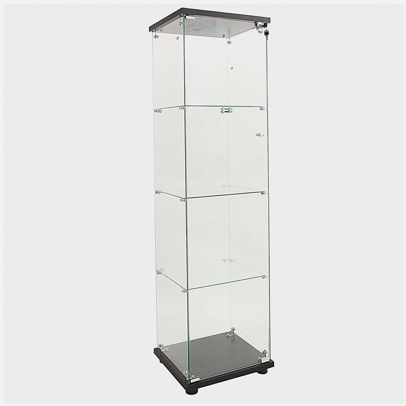 Vitrine à DEL avec 4 tablettes vitrées avec porte et bibliothèque de plancher pour le bureau de la chambre à coucher, 64,7 po x 16,7 po x 14,3 po