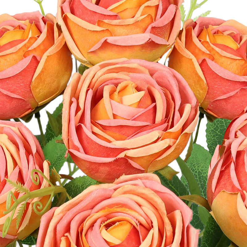 Rosiers Torres, Orange
