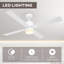 Caisha Ceiling Fan with LED Lights-1358752879