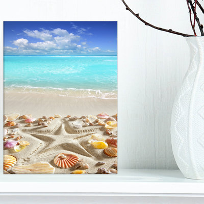 " Caribbean Sea Starfish "