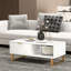 Coffee Table with Storage-621835040