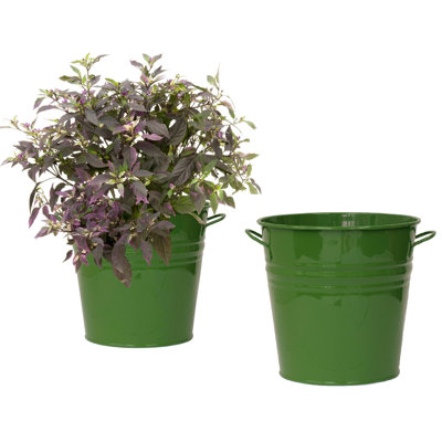 Maynard Metal Pot Planter