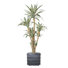 Agave artificiel 88 po en pot