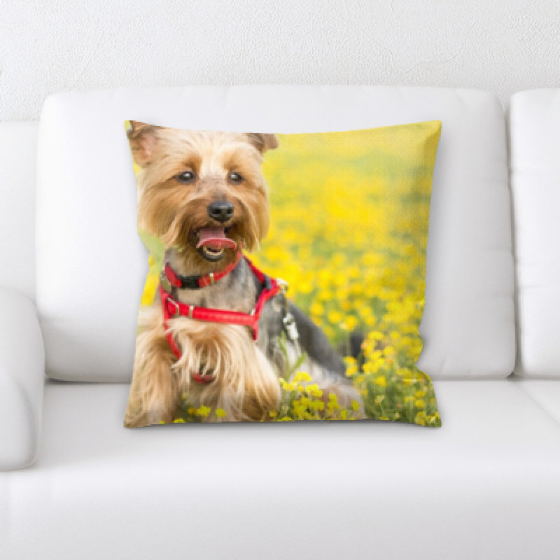 Housse et insert de coussin carré Aiden