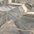 Opalescent Gray