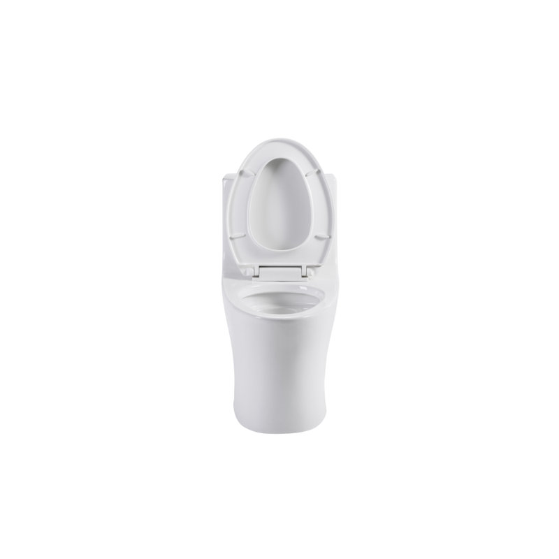 1.1/1.60 GPF Dualflush One Piece Toilet,Button On Tank Top Strap, Watersaving Elongated Comfort Height Floor Mounted, Soft Closing Seat,1000 Gram Map Flushing Score Toilet, Gloss White GW002