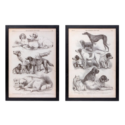 Canine Species Sepia Prints