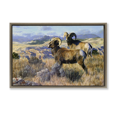  Wild Rams Torrey Canyon Framed Floater Canvas by Mark Kelso