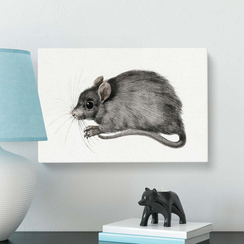 A Mouse by Jean Bernard - Wrapped Canvas Painting, 50cm H x 76cm W x 3cm D