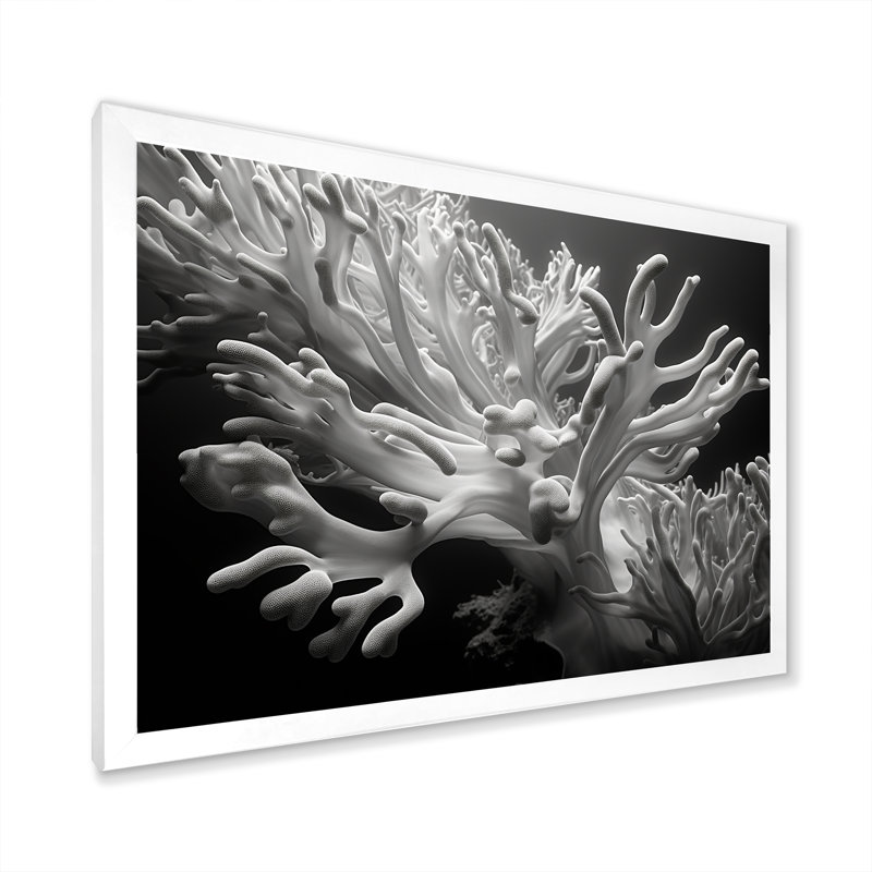 «Black and White Anemoner Color IV», reproduction d'art sur toile, H 24 po x l 32 po x P 1 po, Cadre simple blanc