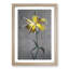 Yellow Lily by Kazumasa Ogawa - Picture Frame Painting Print-55613645-55613643