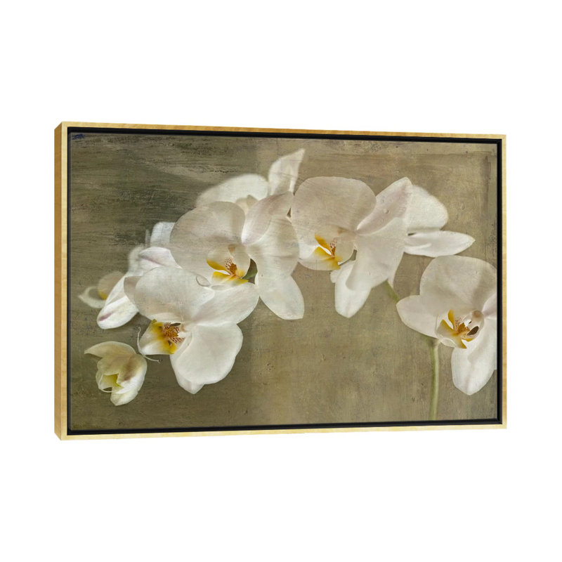 Orchidée peinte - reproduction d'art, Toile encadrée d'or, H 40 po x l 60 po x 1,5 po
