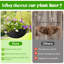 Elevated Planter