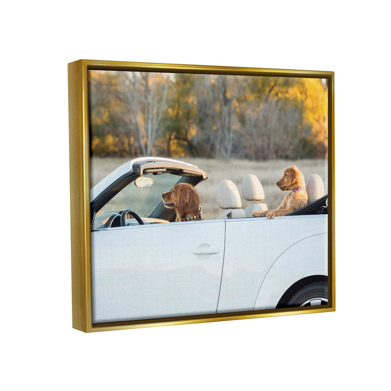 Ba-359-Floater Dogs Drive Convertible, reproduction d'art sur toile, Cadre flottant métallique doré